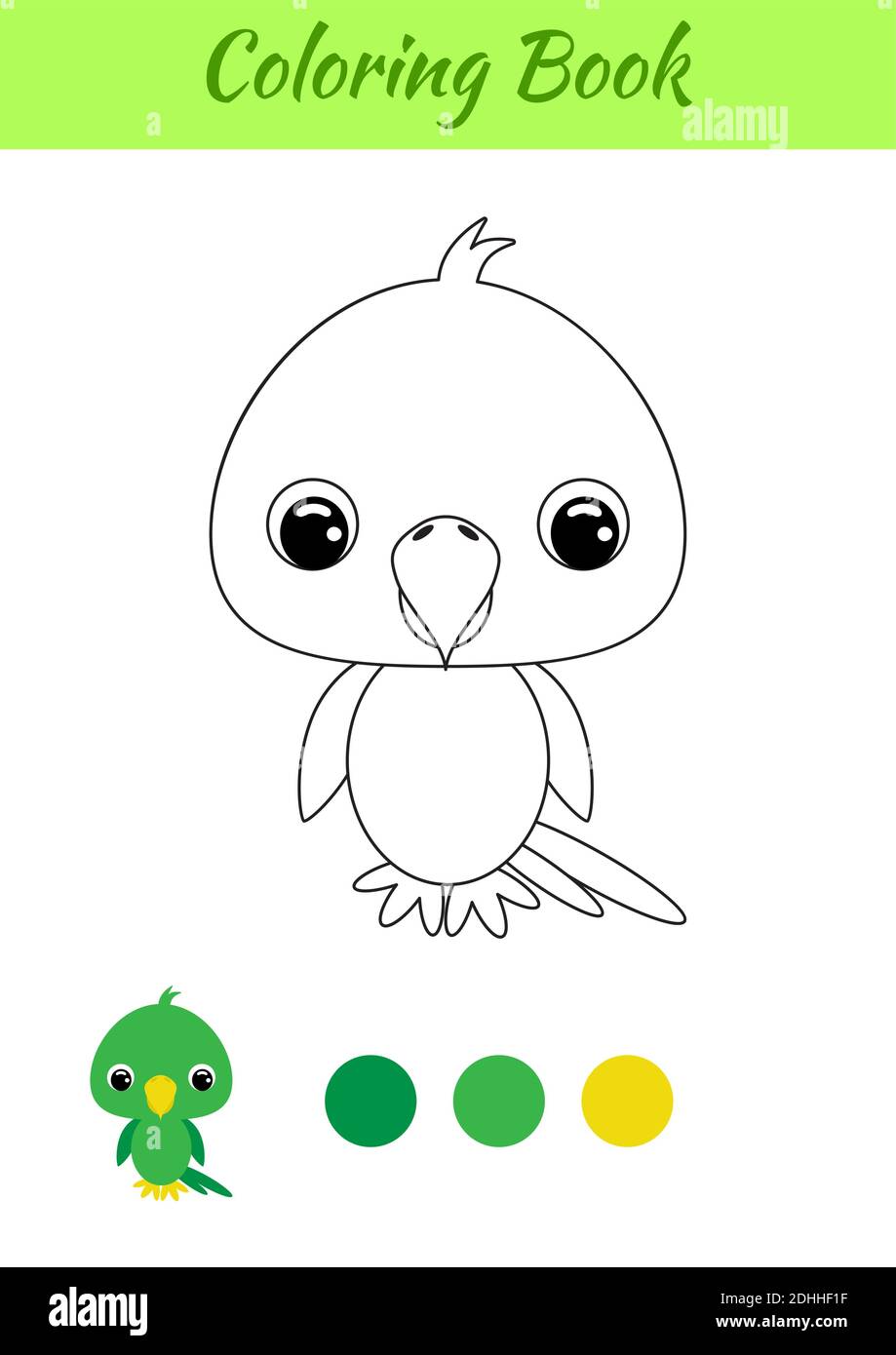 Livre De Coloriage Petit Perroquet De Bebe Page De Coloriage Pour Enfants Activite Educative Pour Les Enfants D Age Prescolaire Et Les Tout Petits Avec Un Animal Mignon Image Vectorielle Stock Alamy