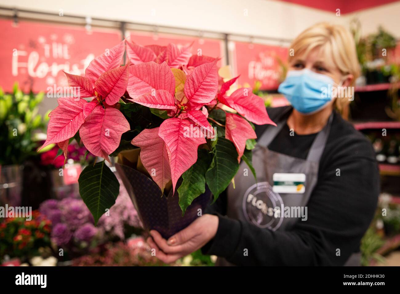 UTILISATION ÉDITORIALE SEULEMENT le Florist Jackie Crickson dévoile les