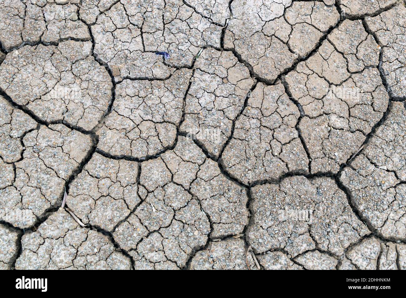 Terre stérile. Fond de terre fissuré sec. Motif de boue fissuré. Sol ...