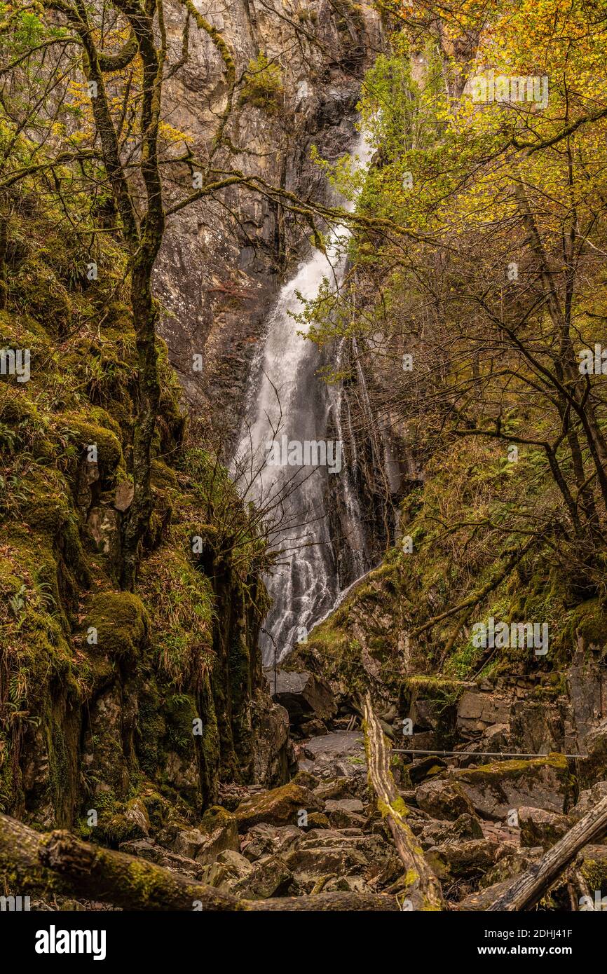 queue de jument grise, chute d'eau près de kinlochleven Banque D'Images