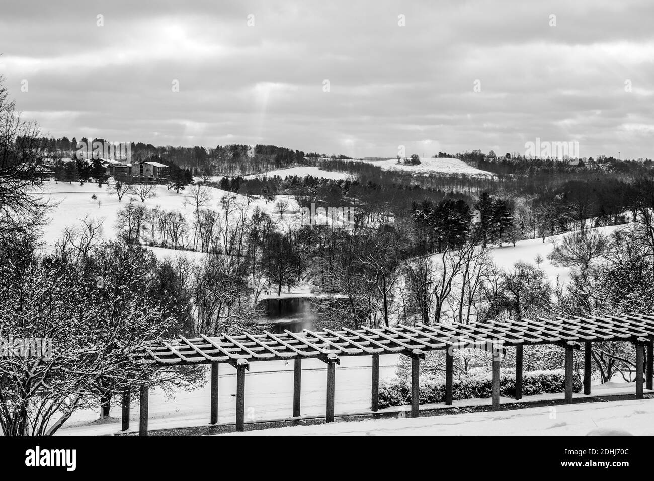 Une belle photo d'hiver dans le jardin Banque D'Images