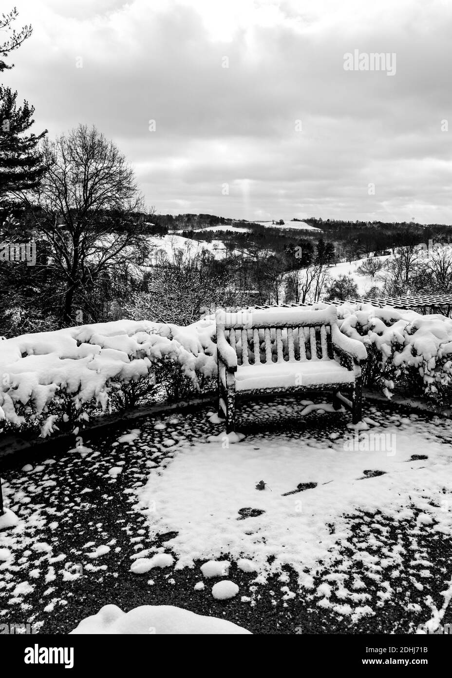 Une belle photo d'hiver dans le jardin Banque D'Images
