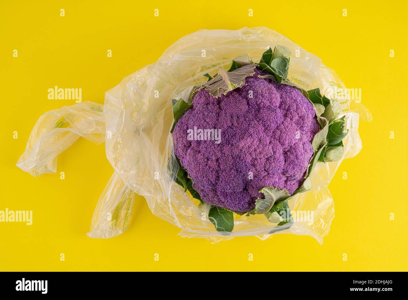 un chou-fleur violet dans un sac sur une surface jaune Banque D'Images