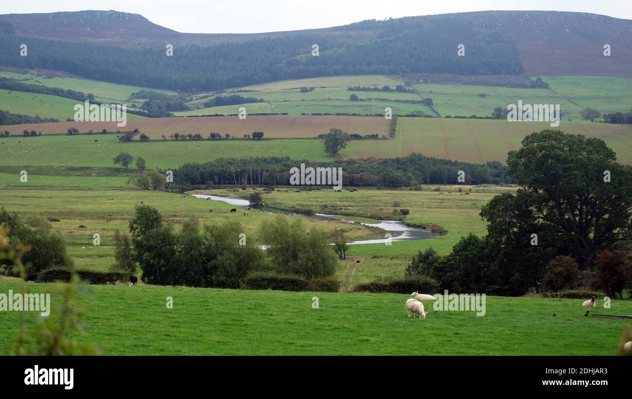 A l'est de Thropton, la rivière serpente lentement vers Rothbury.Samedi 3 octobre 2020. Banque D'Images