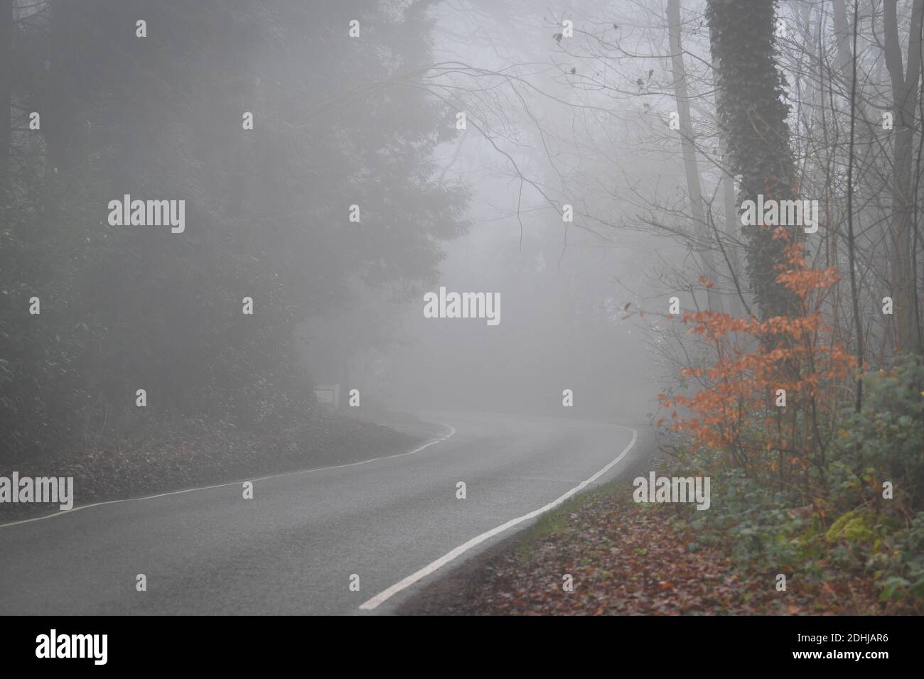 Images de brouillard dans les bois - North Downs près de West Horsley, Surrey.- Dick Focks Common - Forestry Commission. La photo montre du brouillard, des arbres, de la brume dans cette région pittoresque de Surrey. Photo prise le 7 décembre 2020 Banque D'Images