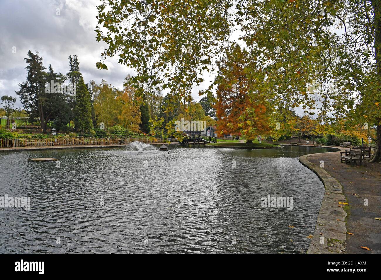 Dans le parc Stoke, Guildford - couleurs automnales, les travaux continuent de restaurer et d'améliorer les jardins orientaux. Guildford, Surrey. Photo prise le 20 octobre 2020 Banque D'Images