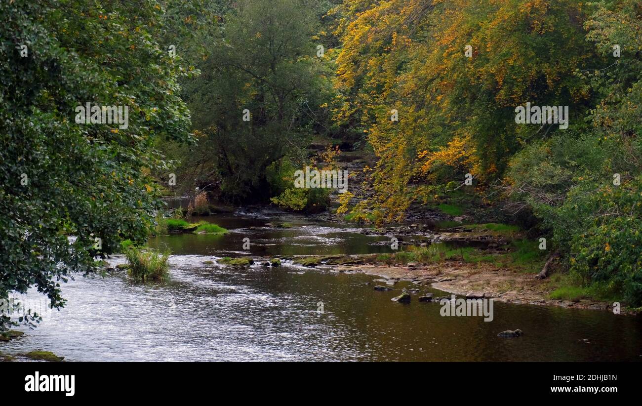 La rivière est suspendue avec des arbres à Guyzance.Samedi 3 octobre 2020. Banque D'Images