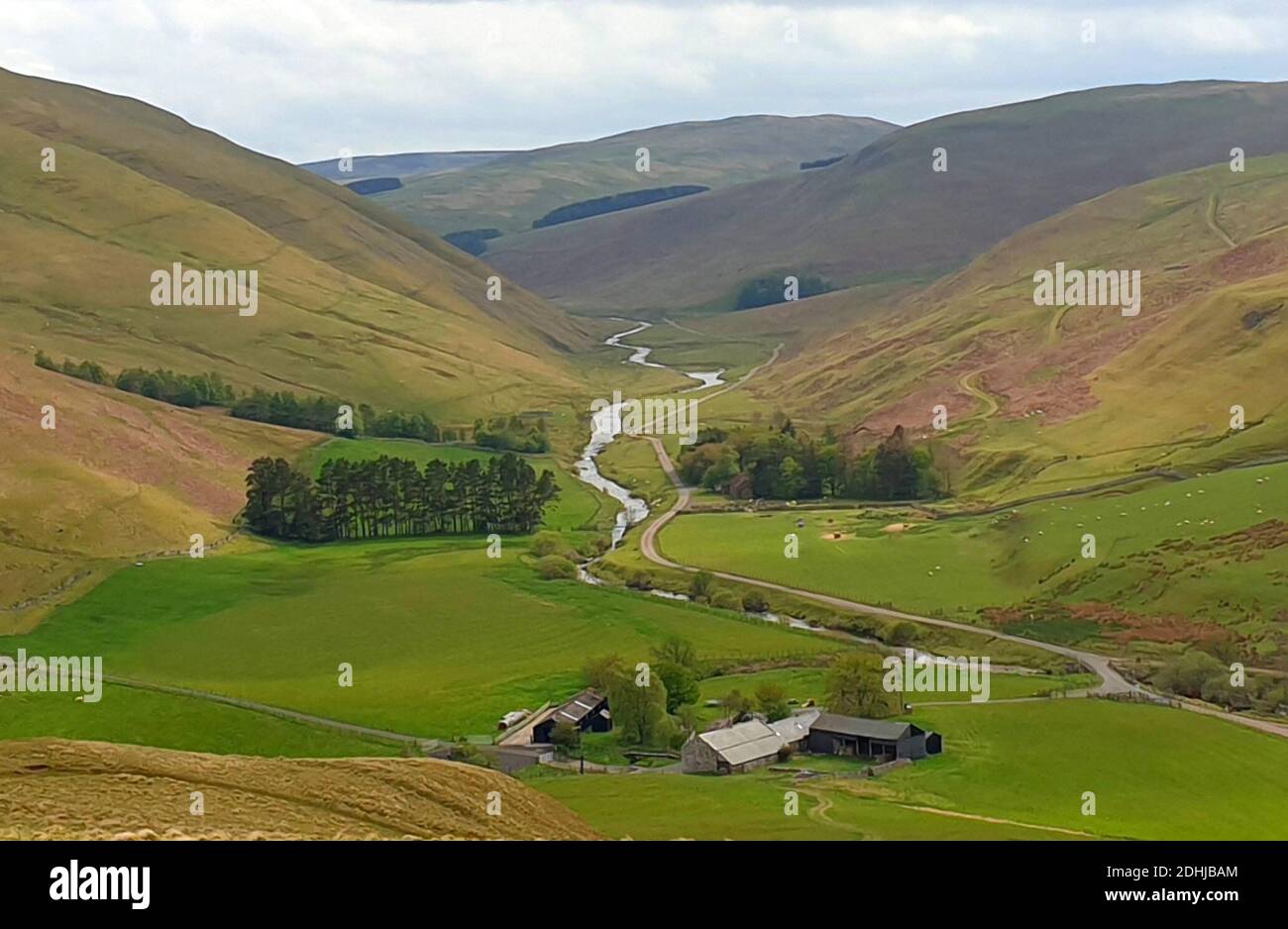 Le Coquet vu haut au-dessus de Barrowburn.Samedi 3 octobre 2020. Banque D'Images