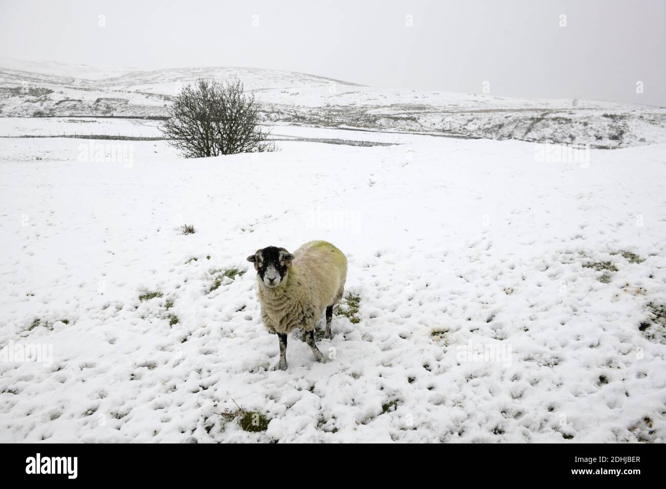La photo est une scène neigeuse dans les Yorkshire Dales au-dessus de Hawes. Météo neige hiver neige neige neige neige neige neige Banque D'Images