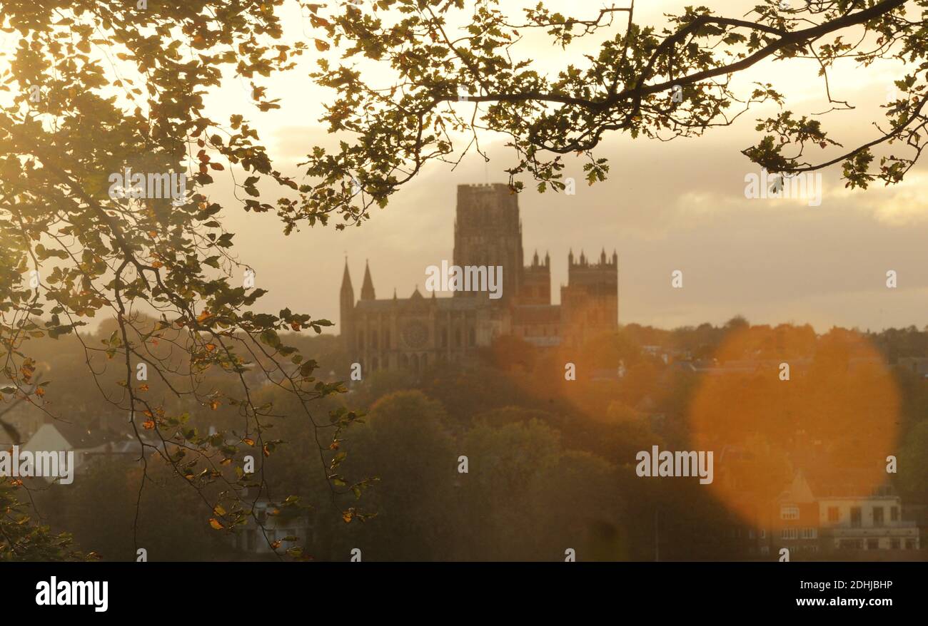 Couleur d'automne à Pelaw Woods près des rives de la rivière Wear dans la ville de Durham. Photos de la cathédrale de Durham photo prise le 16 octobre 2020 Banque D'Images