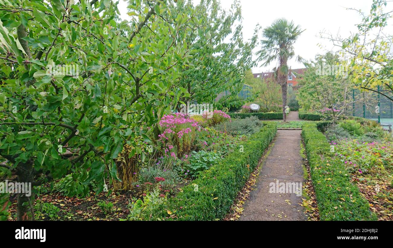 Dans le parc Stoke, Guildford - couleurs automnales, les travaux continuent de restaurer et d'améliorer les jardins orientaux. Guildford, Surrey. Photo prise le 20 octobre 2020 Banque D'Images