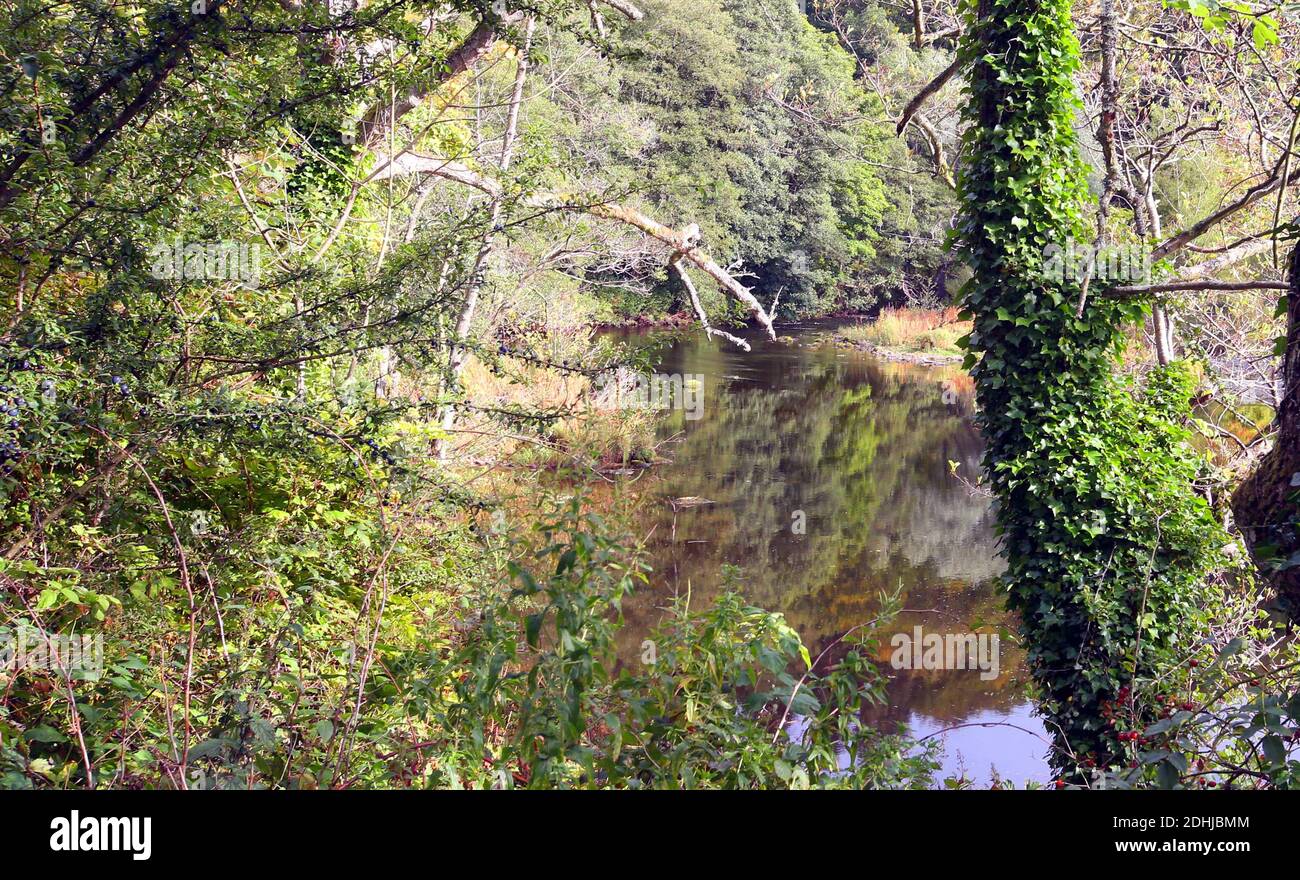 La rivière Coquet juste à l'est de Rothbury.Samedi 3 octobre 2020. Banque D'Images