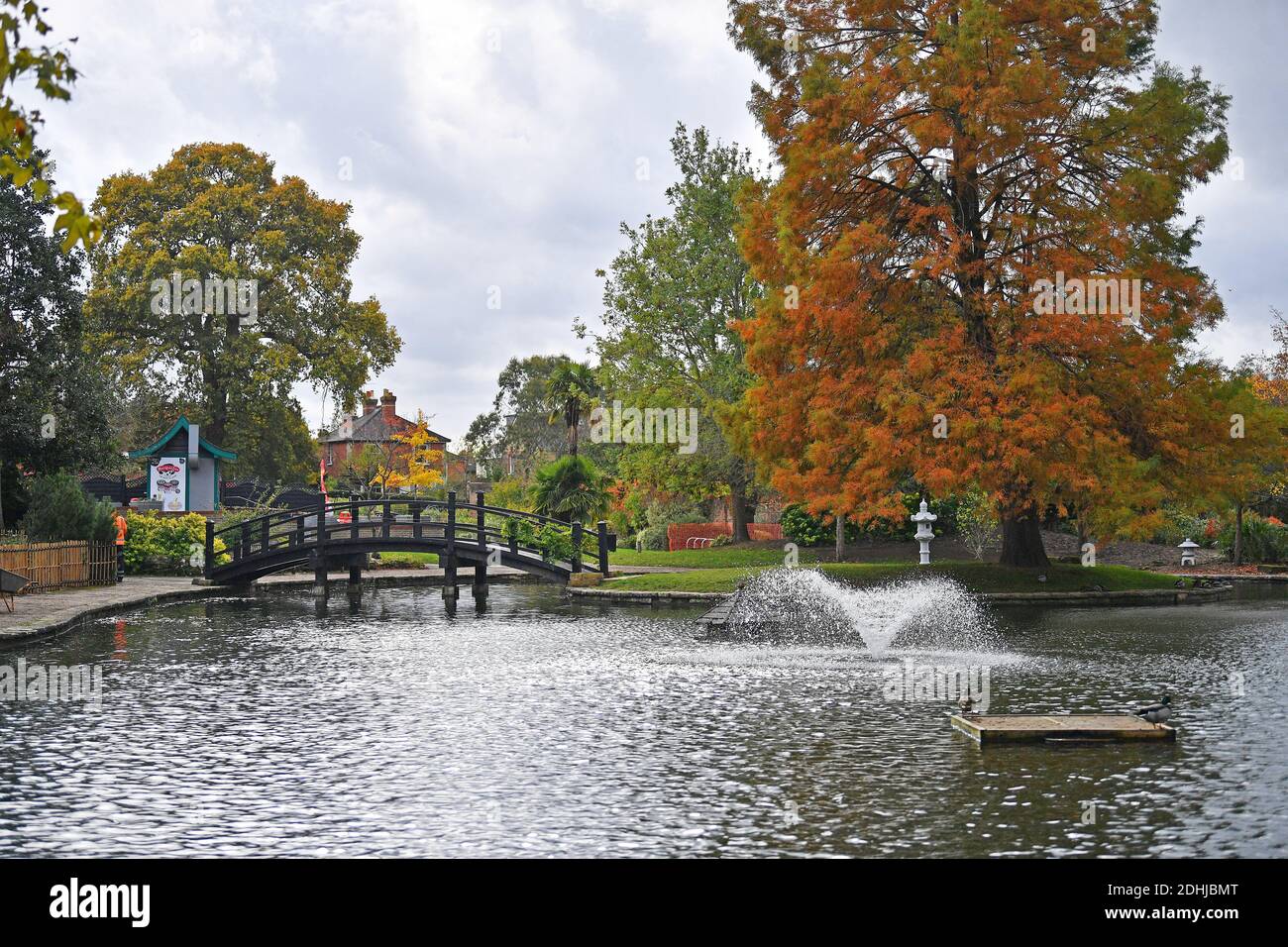 Dans le parc Stoke, Guildford - couleurs automnales, les travaux continuent de restaurer et d'améliorer les jardins orientaux. Guildford, Surrey. Photo prise le 20 octobre 2020 Banque D'Images