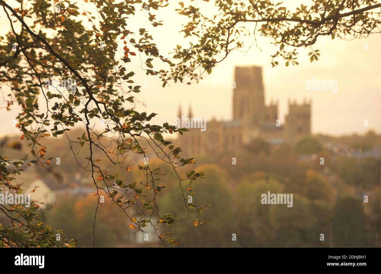 Couleur d'automne à Pelaw Woods près des rives de la rivière Wear dans la ville de Durham. Photos de la cathédrale de Durham photo prise le 16 octobre 2020 Banque D'Images