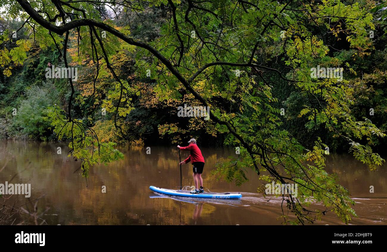 Couleur d'automne sur le River Wear, comté de Durham. Photo prise le 16 octobre 2020 Banque D'Images