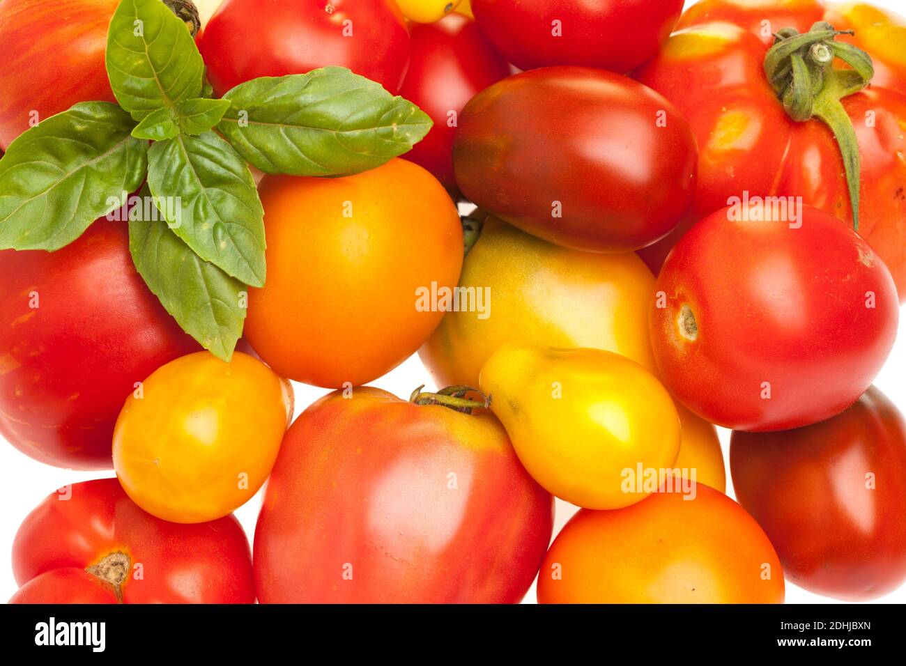 Surface de différentes variétés de tomates Banque D'Images