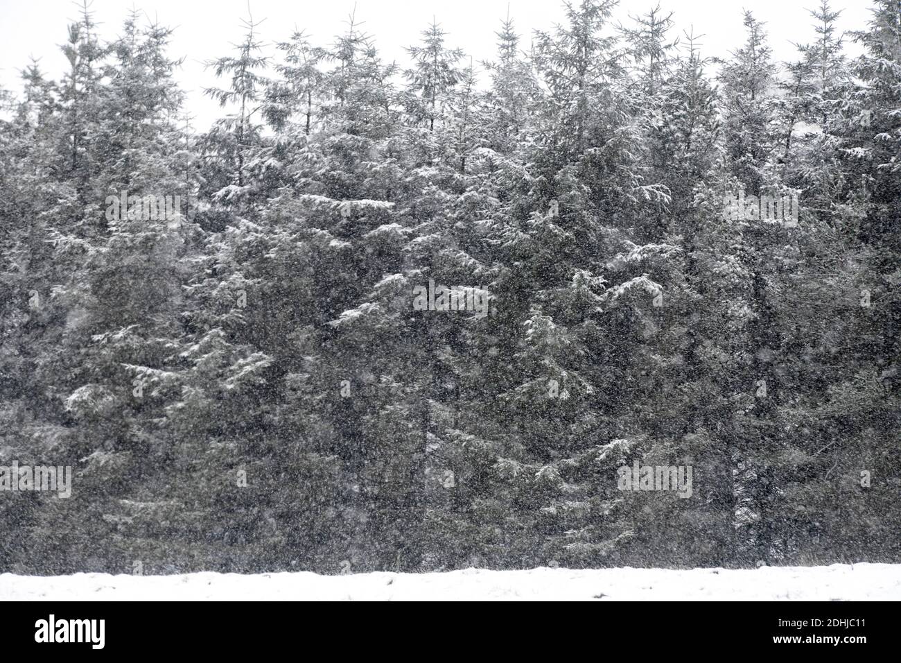 La photo est une scène neigeuse dans les Yorkshire Dales au-dessus de Hawes. Météo neige hiver neige neige neige neige neige neige Banque D'Images