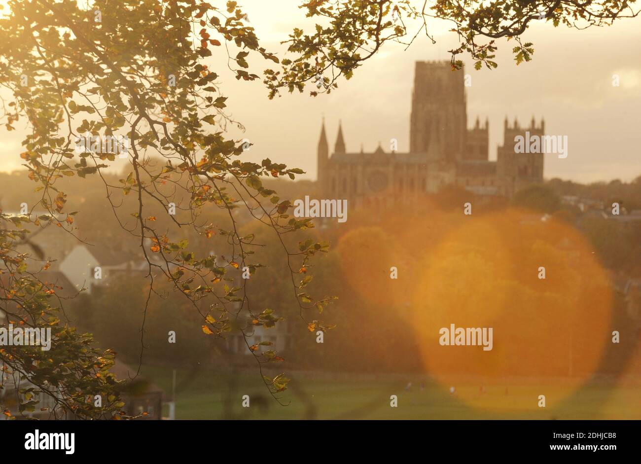 Couleur d'automne à Pelaw Woods près des rives de la rivière Wear dans la ville de Durham. Photos de la cathédrale de Durham photo prise le 16 octobre 2020 Banque D'Images