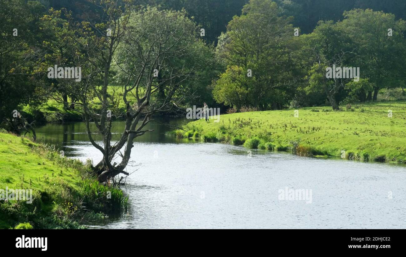 La rivière Coquet. Un pêcheur à la ligne à Pauperhaugh.Samedi 3 octobre 2020. Banque D'Images