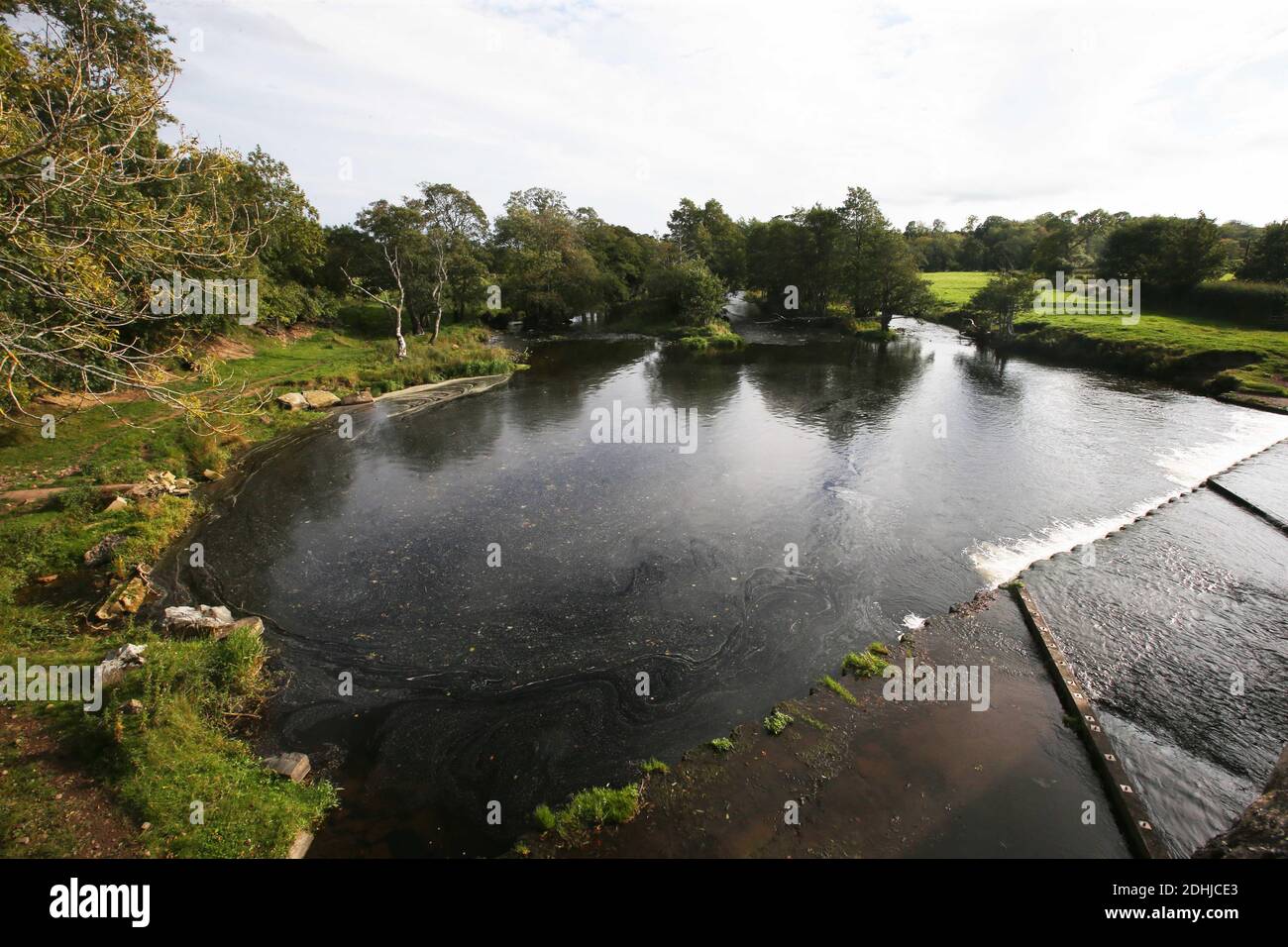 La rivière Coquet. En aval à Pauperhaugh.Samedi 3 octobre 2020. Banque D'Images