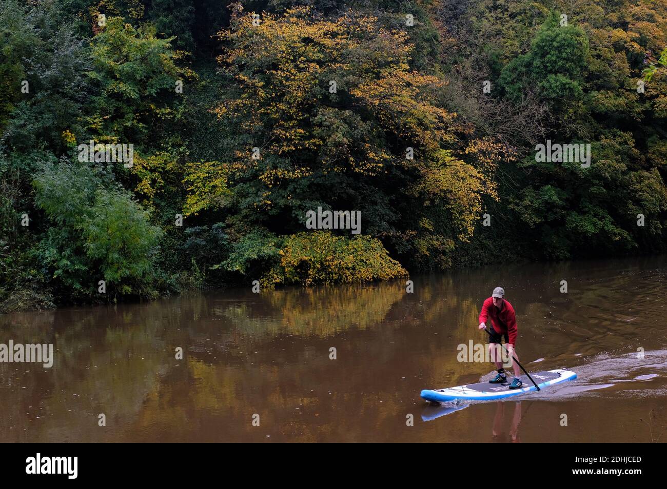 Couleur d'automne sur le River Wear, comté de Durham. Photo prise le 16 octobre 2020 Banque D'Images