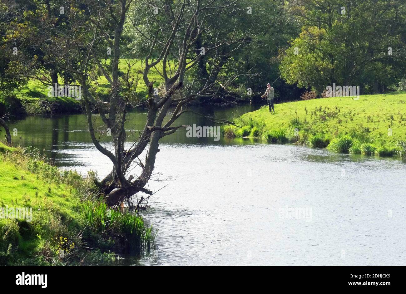 La rivière Coquet. Un pêcheur à la ligne à Pauperhaugh.Samedi 3 octobre 2020. Banque D'Images