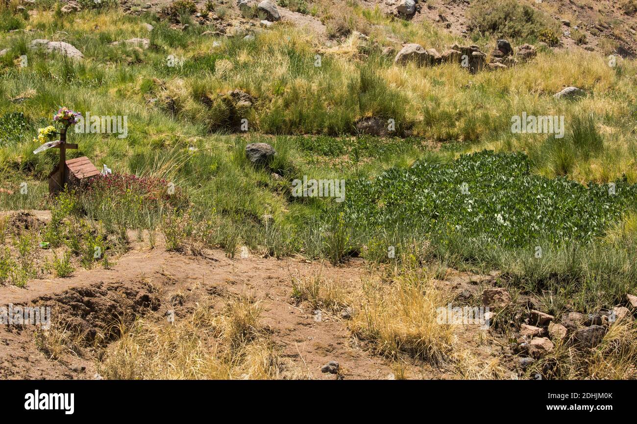 Une croix se dresse au-dessus d'une petite tombe solitaire dans les champs du village de Socaire, Andes, Atacama, Chili Banque D'Images