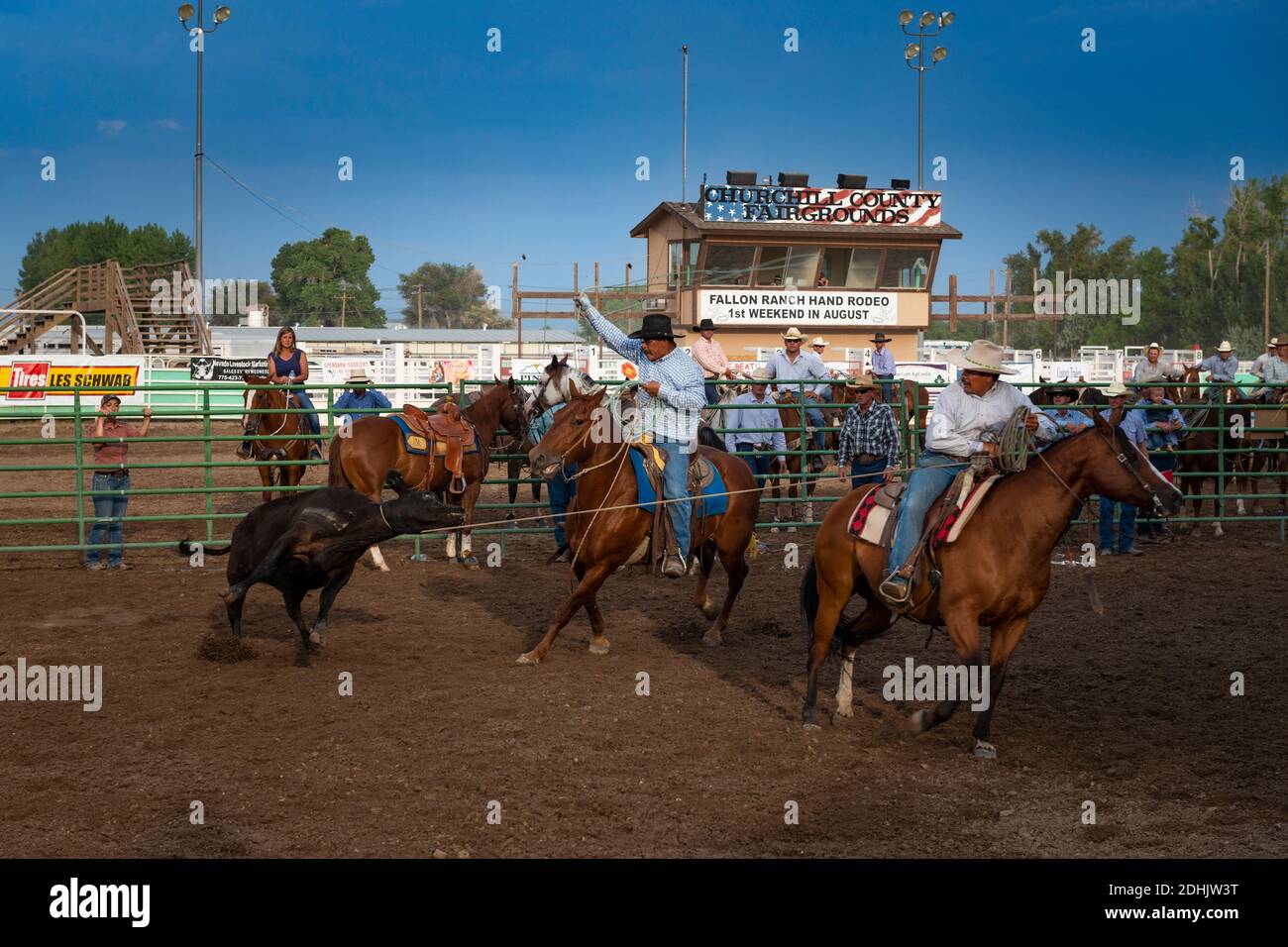 Fallon, Nevada - le 3 août 2014 : deux cow-boys à cheval ont fait un rodéo au champ de foire du comté de Churchill, dans la ville de Fallon, dans le Sud Banque D'Images