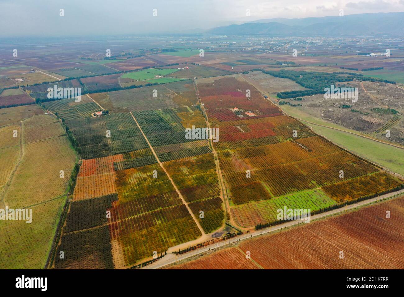 Plaine De La Bekaa