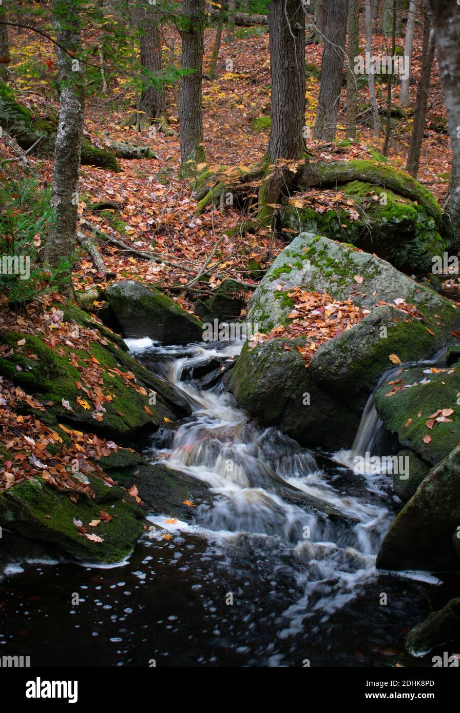 Un ruisseau coule au-dessus de rochers recouverts de mousse en automne en Nouvelle-Angleterre. Banque D'Images