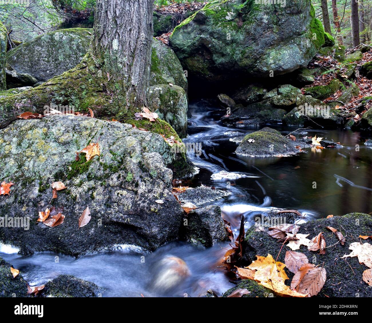Un ruisseau coule au-dessus de rochers recouverts de mousse en automne en Nouvelle-Angleterre. Banque D'Images