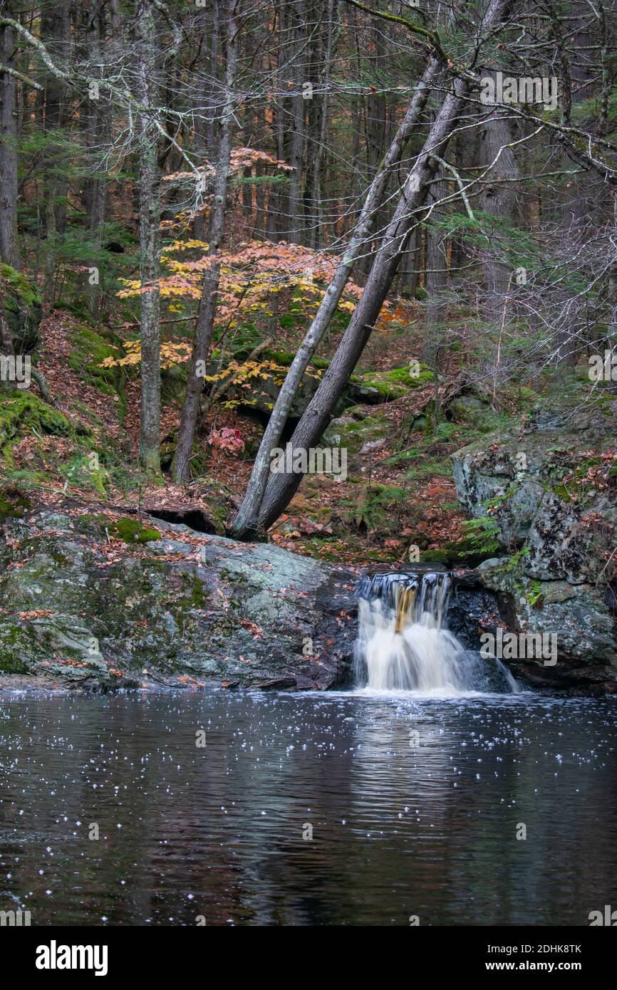 Un ruisseau coule au-dessus de rochers recouverts de mousse en automne en Nouvelle-Angleterre. Banque D'Images