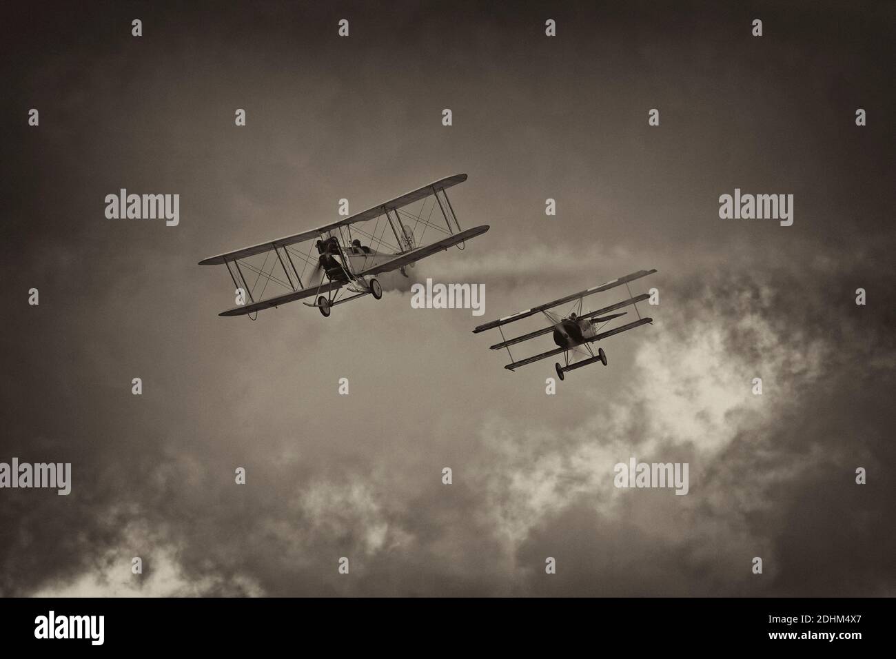 Combat de chien WW1 Banque D'Images