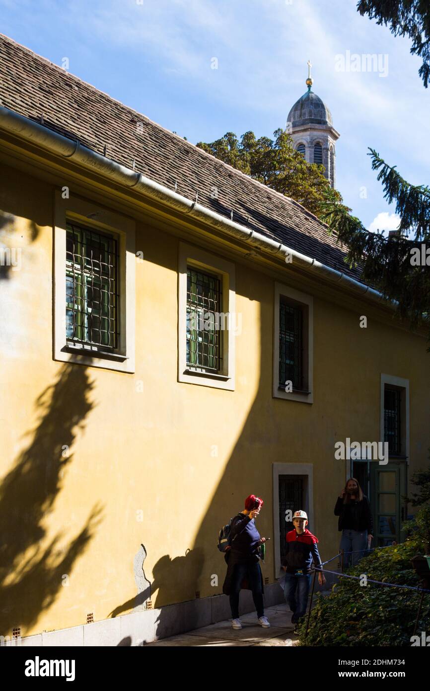 Mur arrière et jardin en terrasse d'Erdeszeti Muzeum (Musée forestier), Sopron, Hongrie Banque D'Images