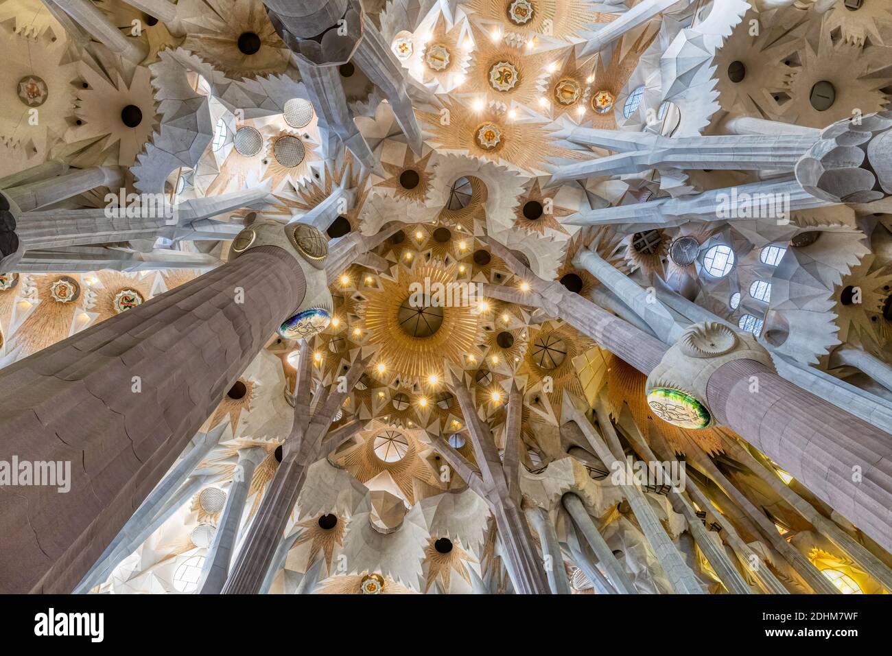 BARCELONE, ESPAGNE - MARS 18,2019: Vue grand angle du plafond de la Sagrada Familia à Barcelone, Espagne Banque D'Images