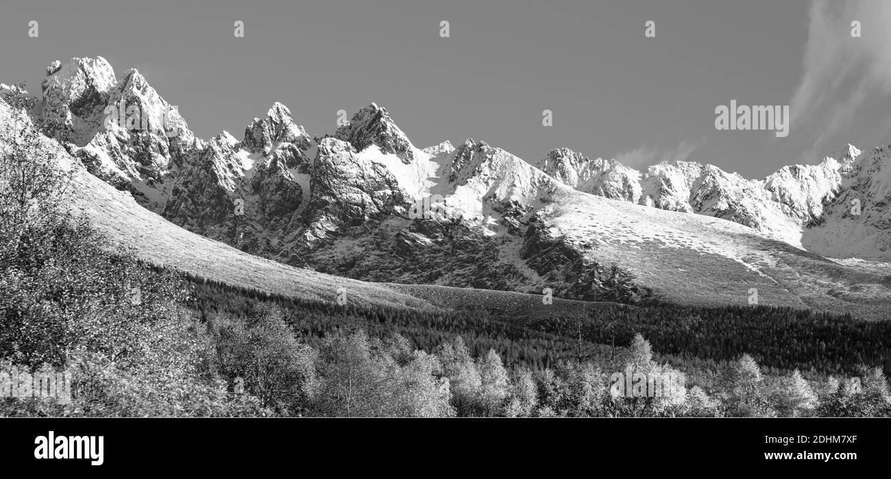 Parc national et pic de Koncista (2494m) symbole pic de Slovaquie dans les montagnes de Hautes Tatras, Slovaquie Banque D'Images