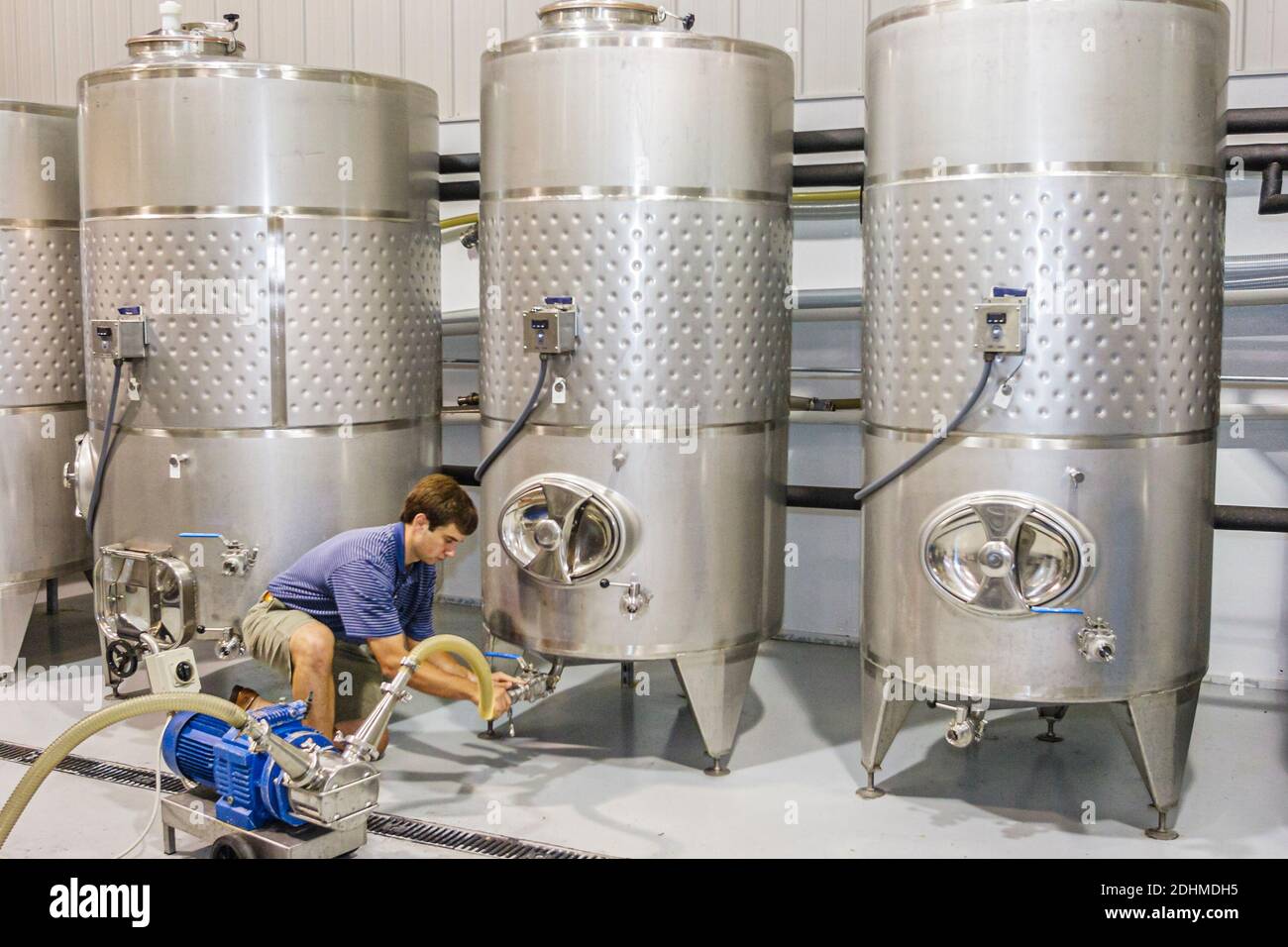 Alabama Harpersville Morgan Creek Vineyards, chars, Banque D'Images