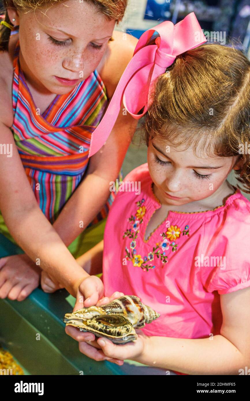 Alabama Dauphin Island Sea Lab Estuarium public aquarium, mains sur exposition filles enfants tenant la coquille, Banque D'Images