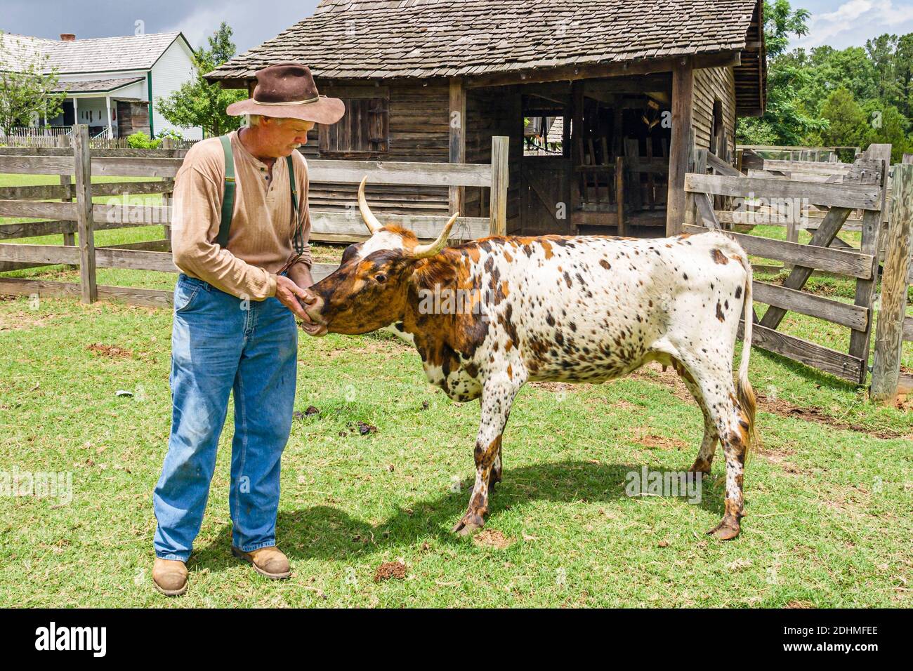 Alabama Dothan Landmark Park Living History Farm 1890's, fermier Barnes pineywoods vache criollo bétail, Banque D'Images