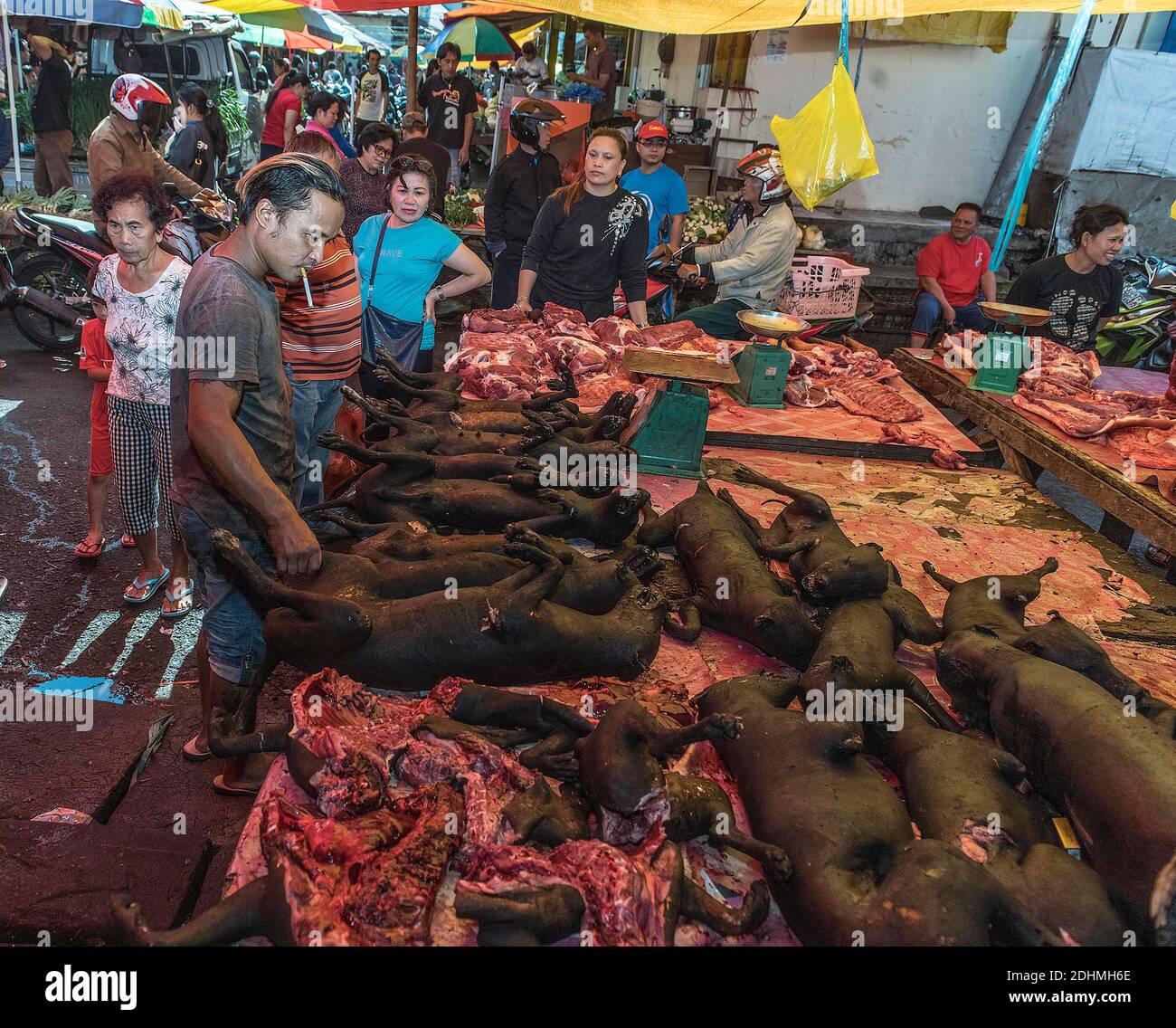 Chiens abattus à vendre comme nourriture au marché Tomohon Extreme, Minahasa, Sulawesi nord, Indonésie. Banque D'Images