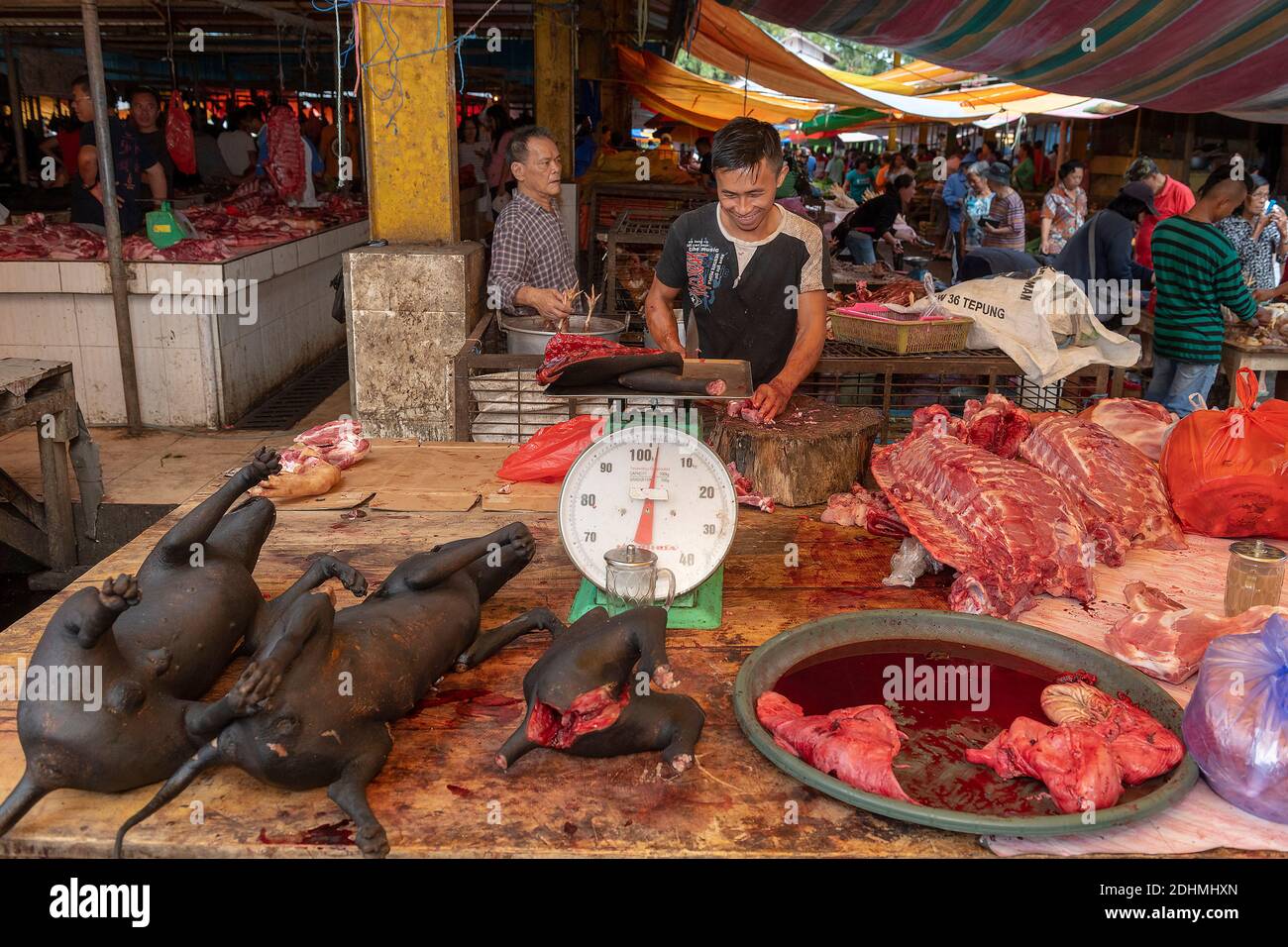 À l'intérieur du marché extrême de Tomohon, au nord de Sulawesi, en Indonésie. Banque D'Images