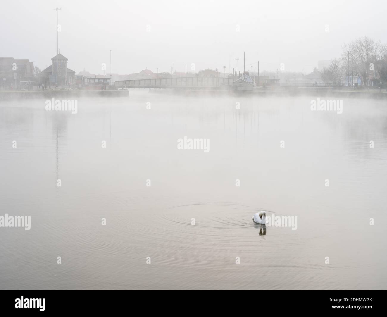 Un cygne nage dans le bassin de Cumberland alors que le brouillard s'élève dans le port flottant de Bristol. Banque D'Images