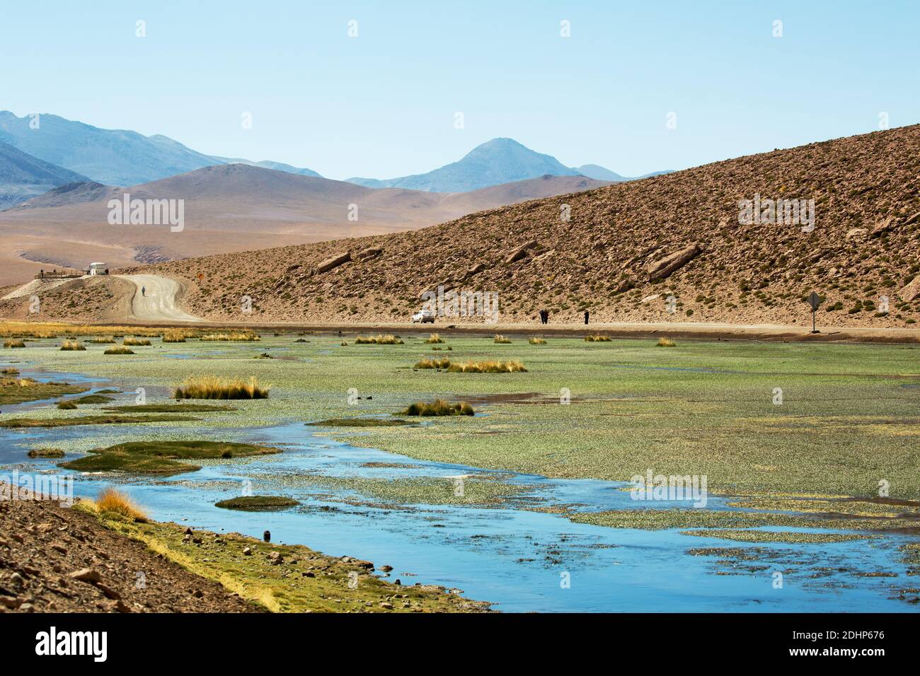 Les marécages du Vado Rio Putana à 14,000 pieds au-dessus de San Pedro de Atacama, Chili Banque D'Images