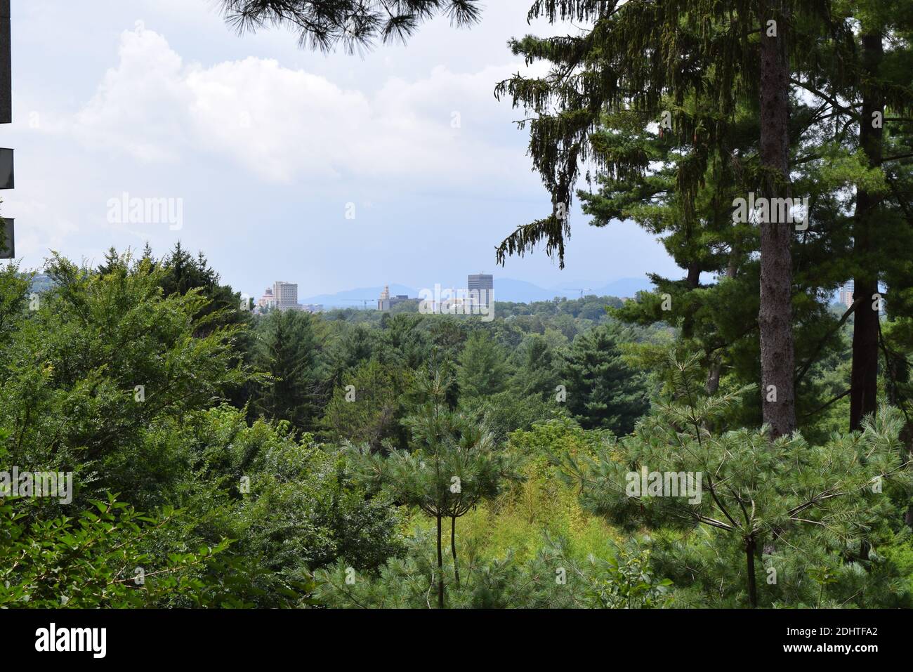 Vue sur la nature depuis les montagnes près d'Asheville, Caroline du Nord Banque D'Images