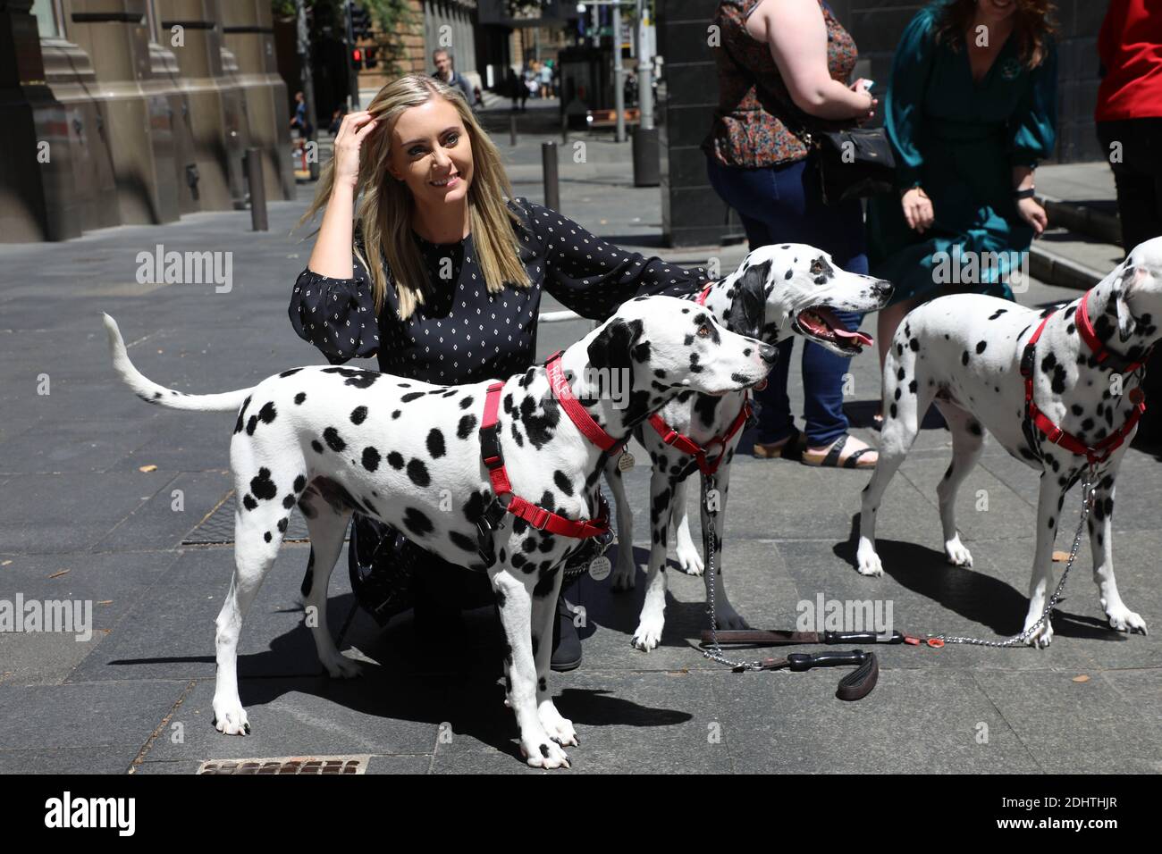 Sydney, Australie. 12 décembre 2020. Rassemblement contre l'élevage de chiots en Nouvelle-Galles du Sud, Martin place. Photo : MLC Emma Hurst du Parti de la justice animale. Credit: Richard Milnes/Alamy Live News Banque D'Images