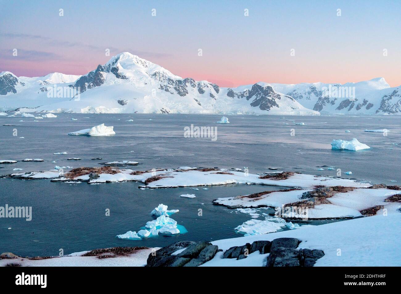 Vue en soirée depuis l'île d'Useful vers Graham Land, la péninsule antarctique, l'Antarctique. Notez les nombreuses colonies de pingouins de Gentoo au premier plan Banque D'Images