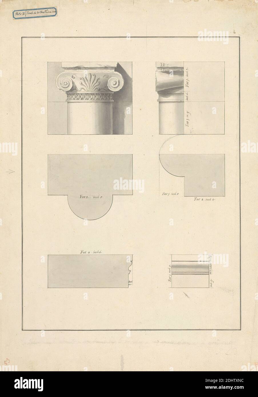 Mimusops kummel A. DC. : dessin fini avec quelques fleurs, James Bruce, 1730–1794, Britannique, non daté, aquarelle et gouache sur graphite, moyen, légèrement texturé, papier crème, feuille: 16 × 12 pouces (40.6 × 30.5 cm Banque D'Images