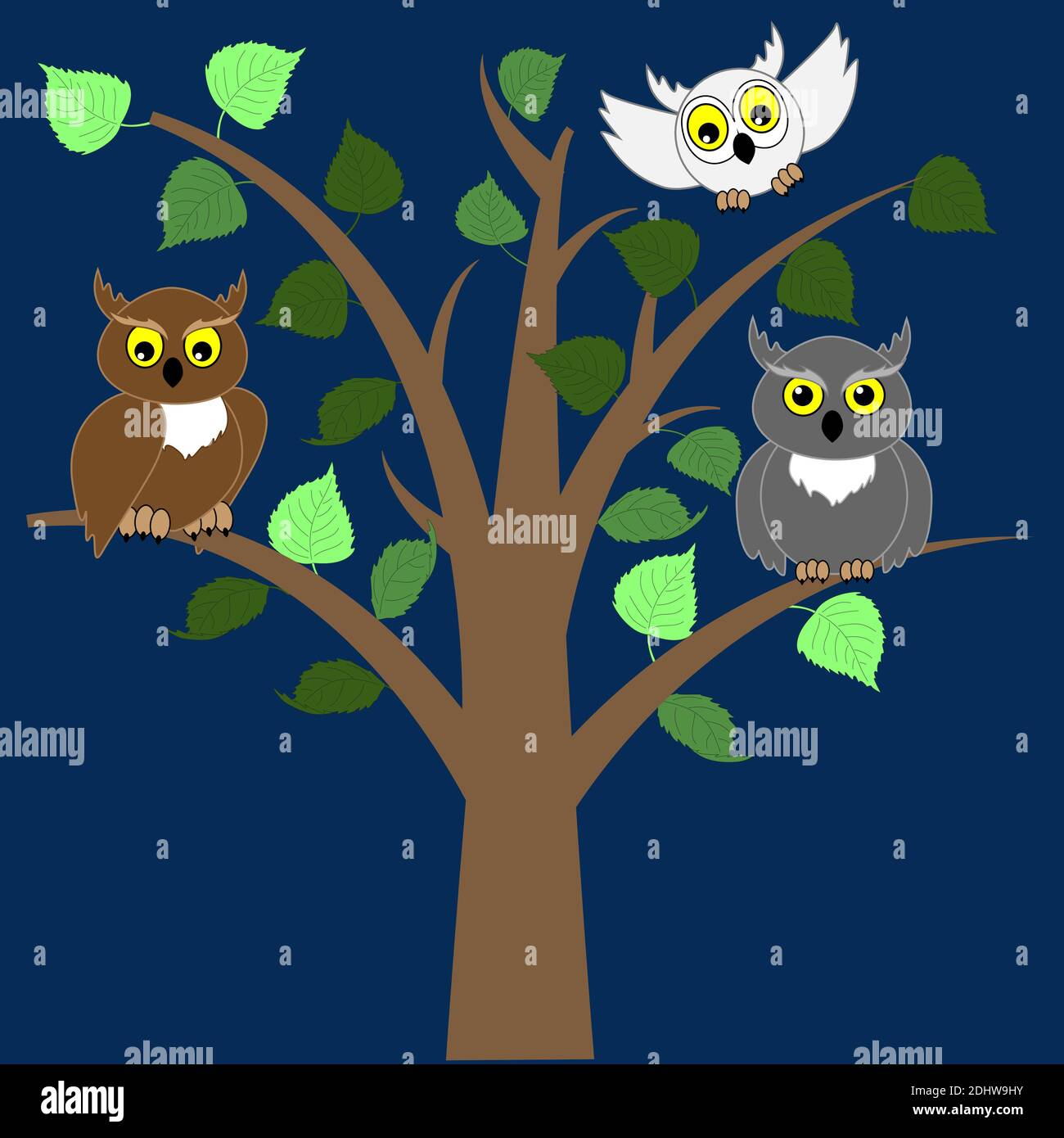 Deux hiboux s'assoient sur un arbre et un troisième hibou vole jusqu'à l'arbre la nuit. Illustration de Vecteur