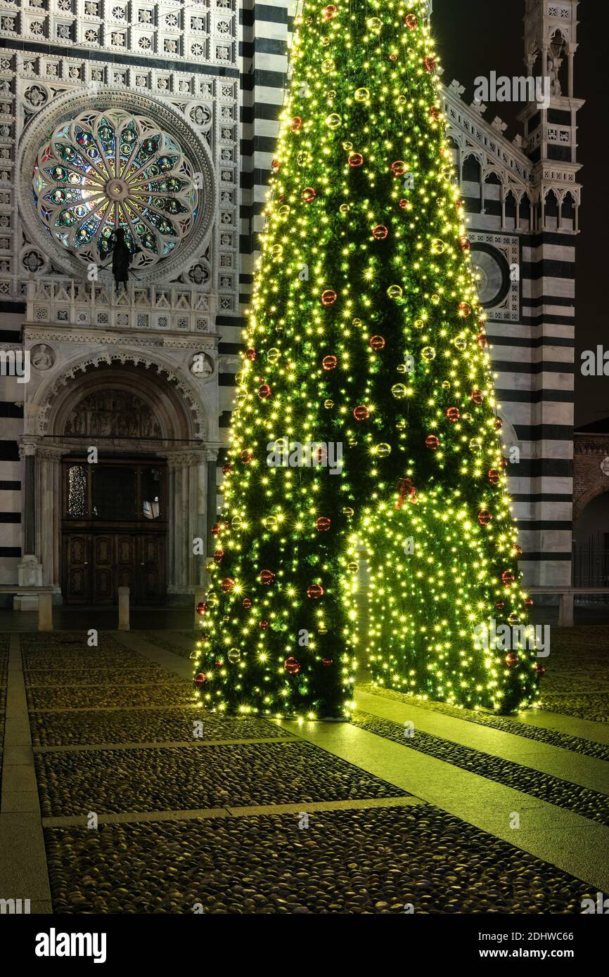 Arbre de Noël illuminé devant la belle façade du Duomo de Monza, Italie Banque D'Images