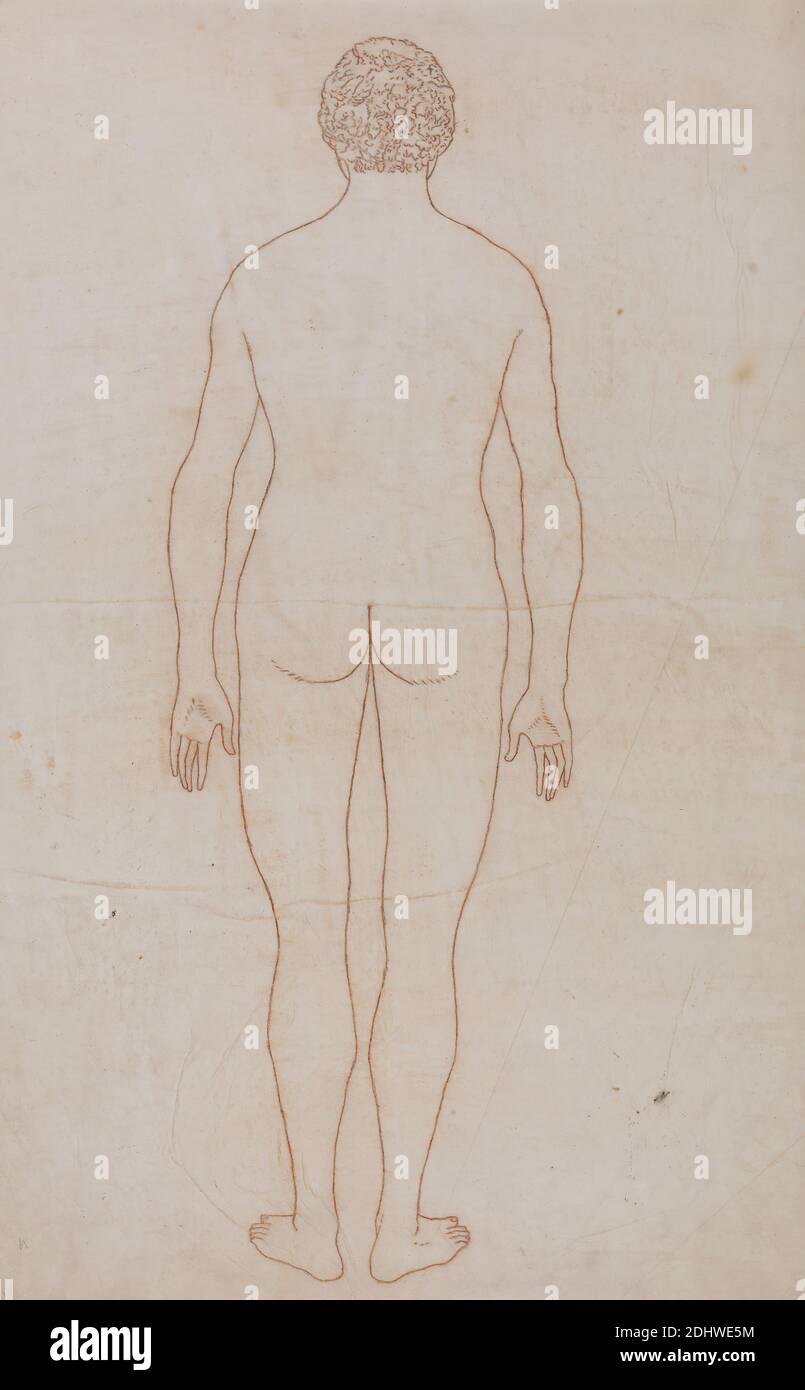 Corps humain, vue postérieure (dessin pour le tableau VII), George Stubbs, 1724–1806, britannique, 1795 à 1806, Graphite et craie rouge; verso : graphite et craie rouge sur crème, fin, lisse, papier vélin, feuille: 19 1/8 x 12 5/8 pouces (48.6 x 32.1 cm), étude anatomique, anatomie, dos, étude de figure, homme Banque D'Images
